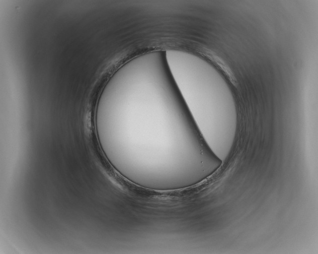 X0000113370633200909151027