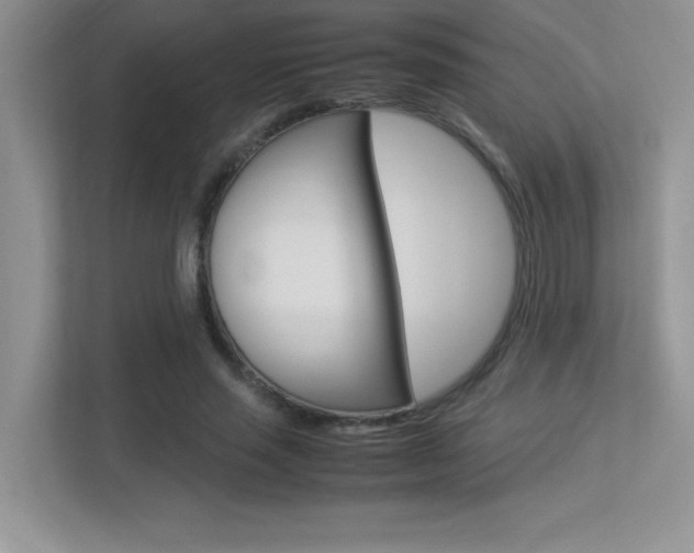 X0000113370637200909151027