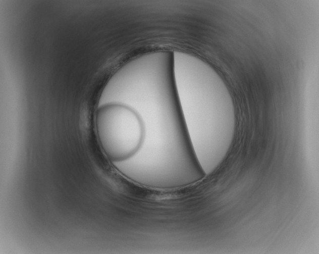 X0000113370639200909151027