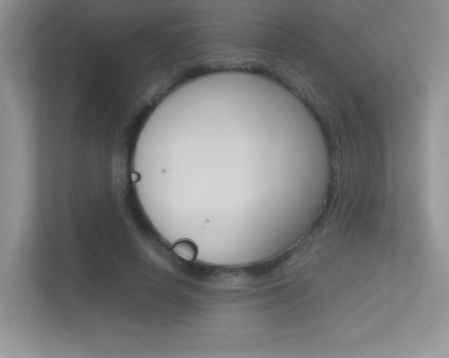 X0000113370642200909151027