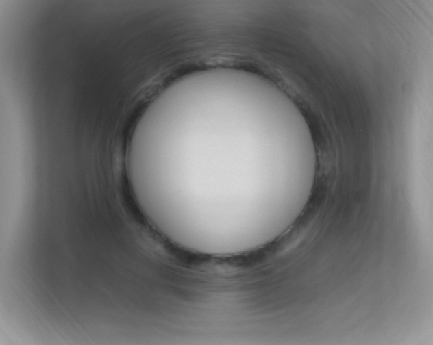 X0000113370648200909151028
