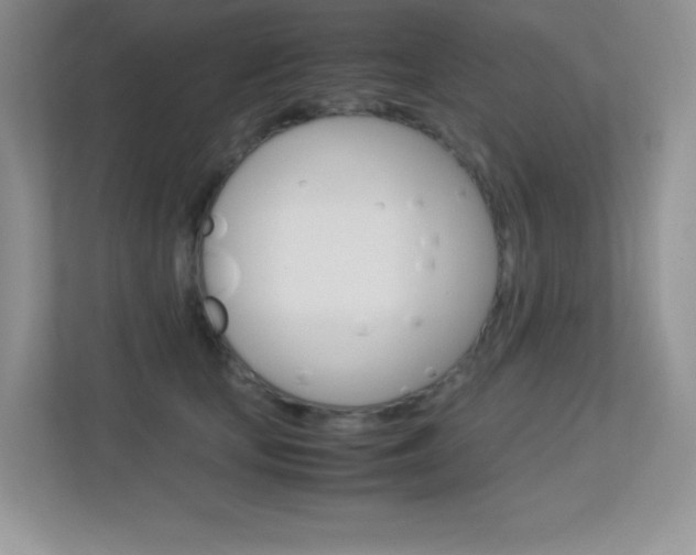 X0000113370659200909151028