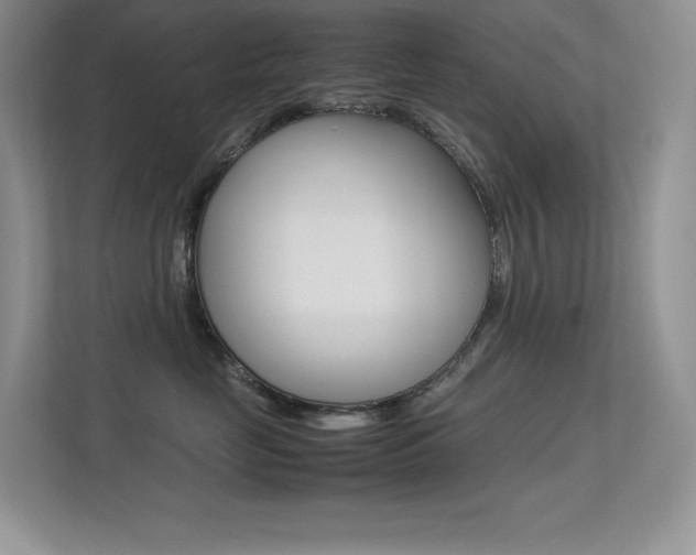 X0000113370669200909151028