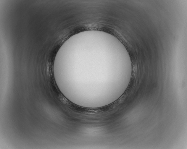 X0000113370671200909151028