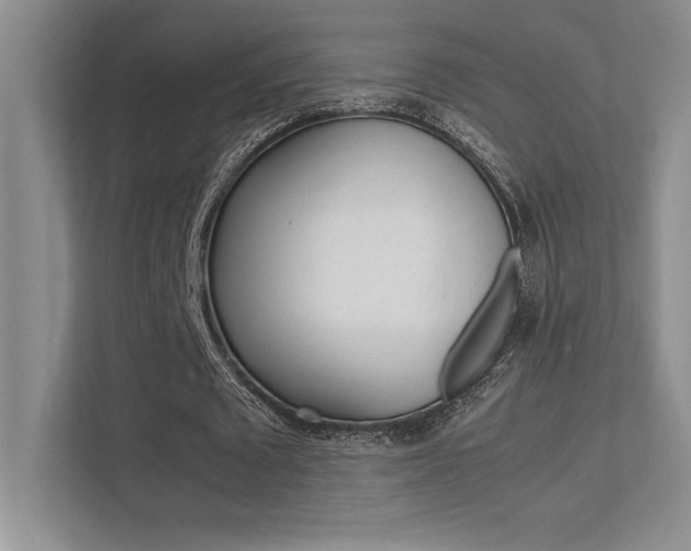 X0000113370673200909151027