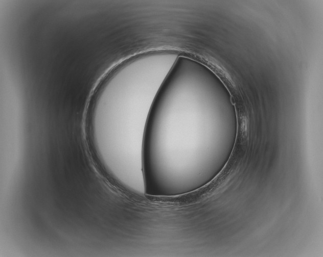 X0000113370676200909151027