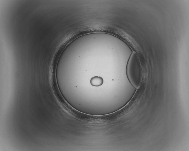 X0000113370677200909151027
