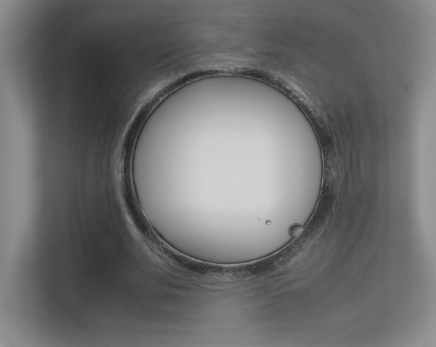 X0000113370679200909151027