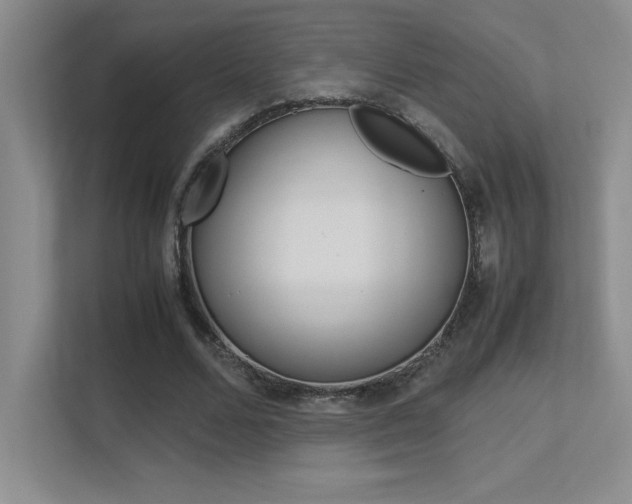 X0000113370680200909151027