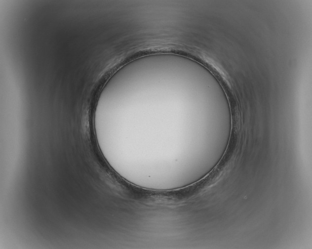 X0000113370681200909151027