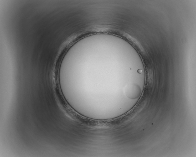 X0000113370682200909151027