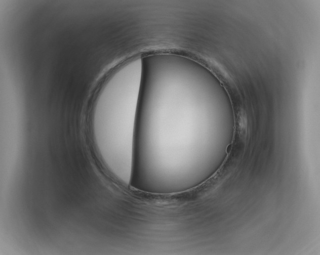 X0000113370684200909151027