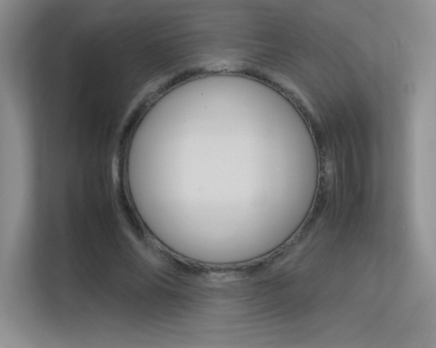 X0000113370686200909151027