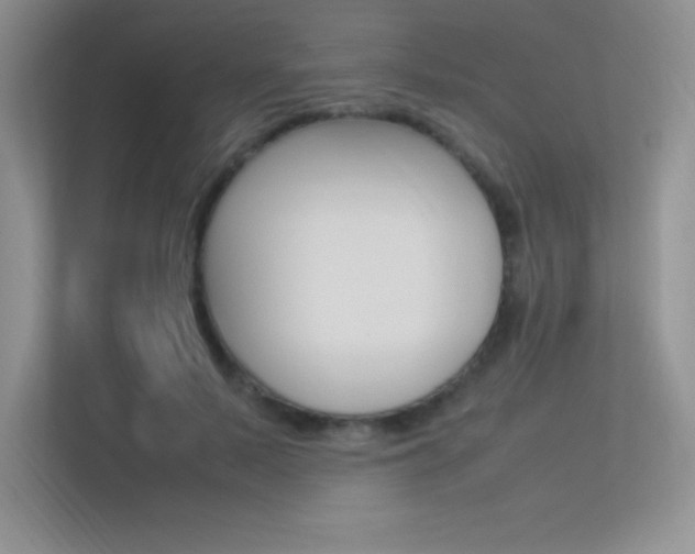 X0000113370695200909151027