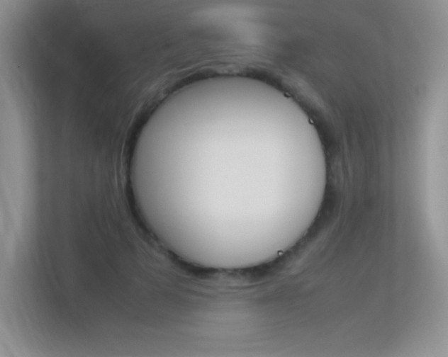 X0000113370697200909151027
