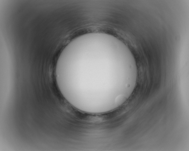 X0000113370698200909151027