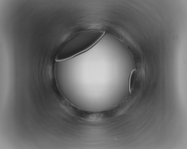 X0000113370700200909151027