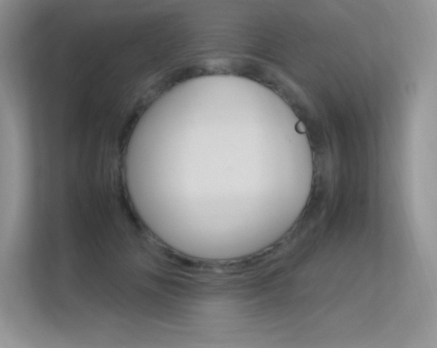 X0000113370702200909151027