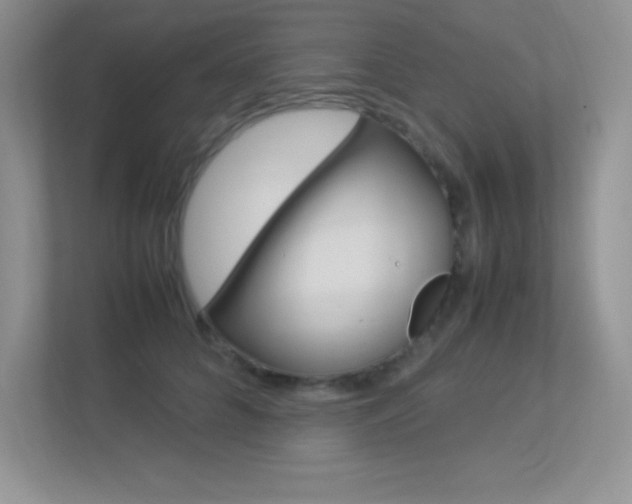 X0000113370704200909151027