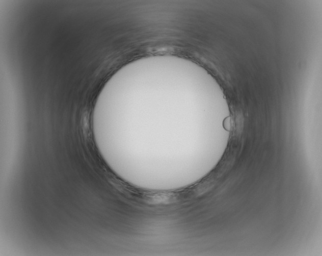 X0000113370709200909151027