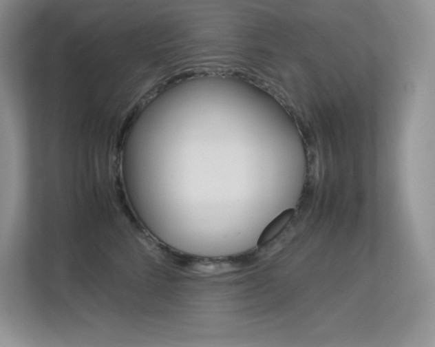 X0000113370712200909151027