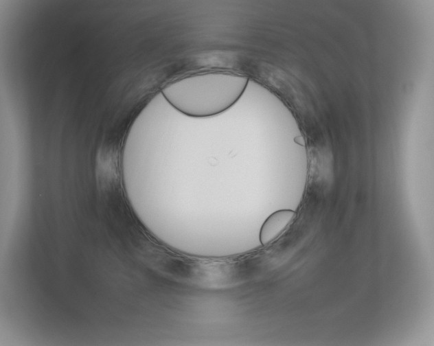 X0000113370713200909151027