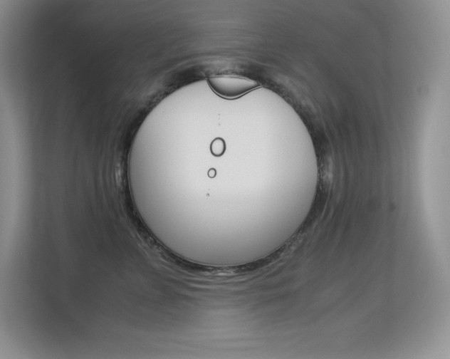 X0000113370715200909151027