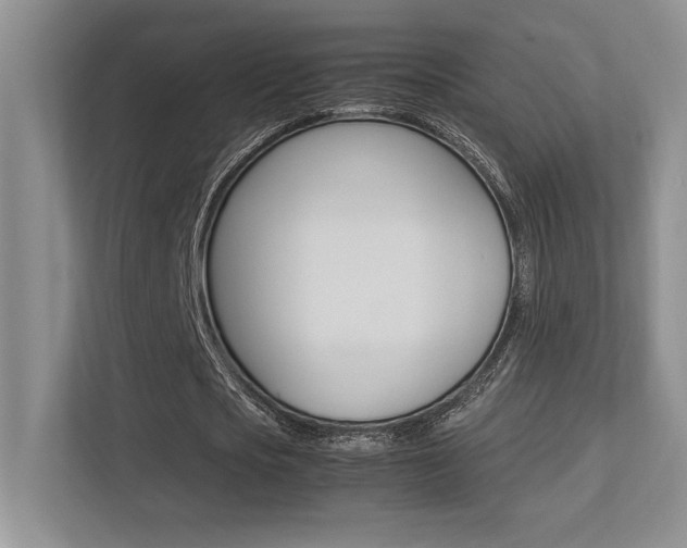 X0000113370721200909151026