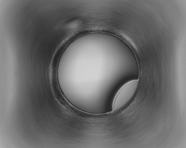 X0000113370722200909151026
