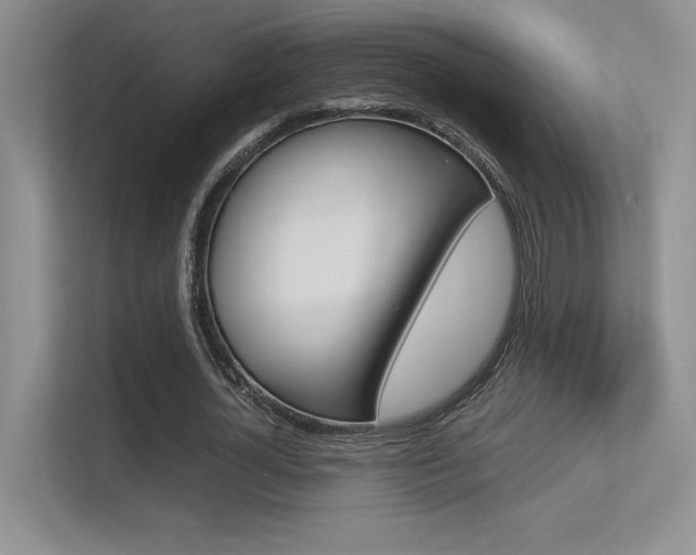 X0000113370724200909151026