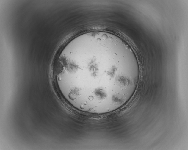 X0000113370725200909151026