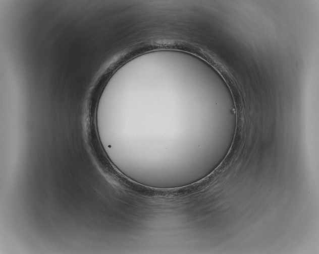 X0000113370728200909151026