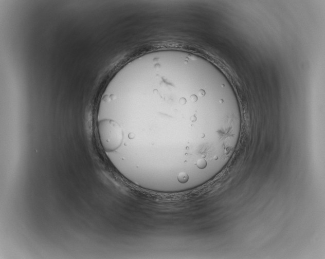 X0000113370729200909151026