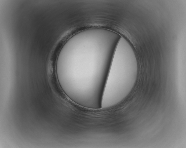 X0000113370731200909151026