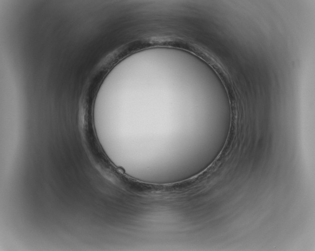 X0000113370732200909151026
