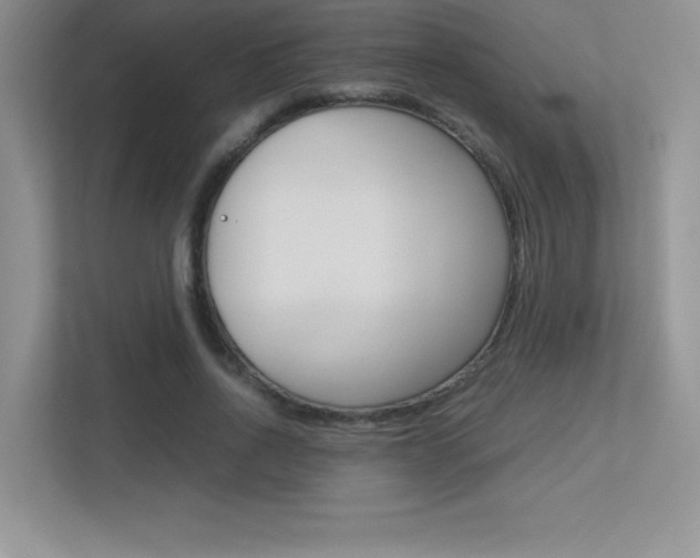 X0000113370734200909151026