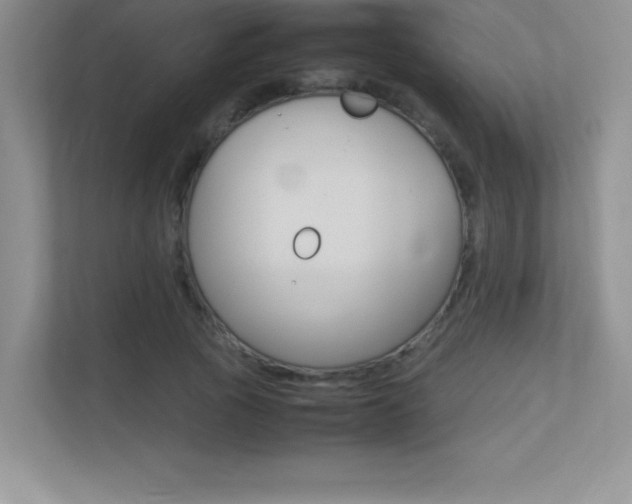 X0000113370737200909151026