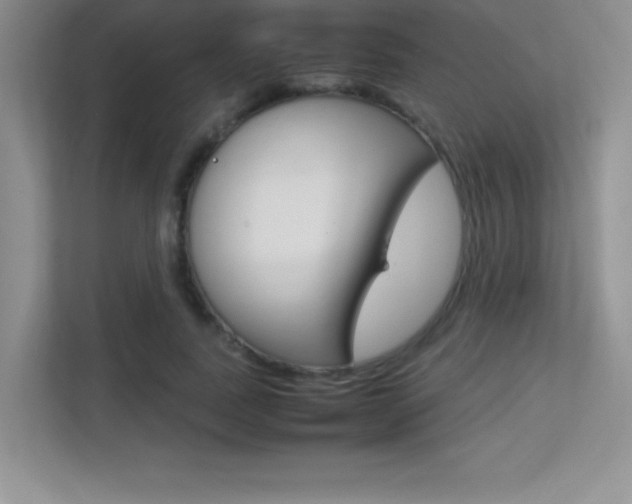 X0000113370739200909151026