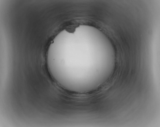 X0000113370751200909151026