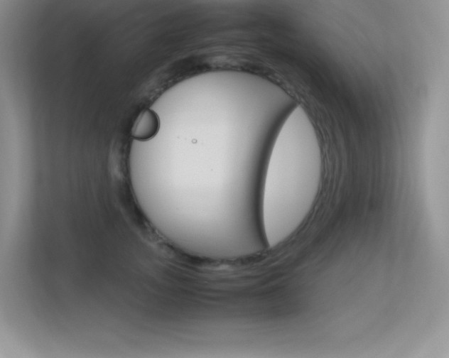 X0000113370755200909151026