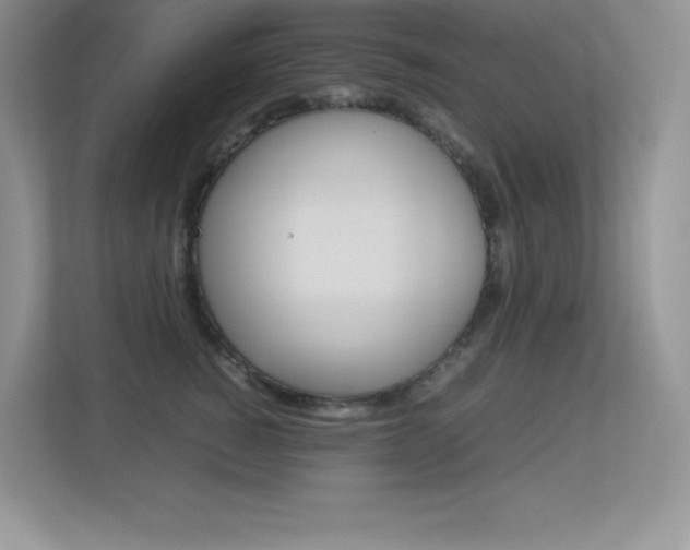 X0000113370760200909151027