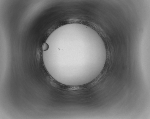 X0000113370761200909151027