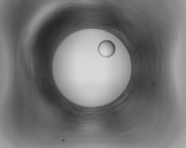 X0000113370762200909151027