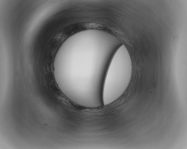 X0000113370763200909151027