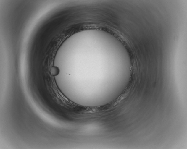 X0000113370764200909151027