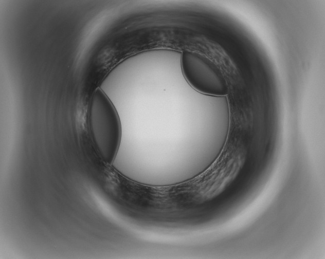 X0000113370766200909151027