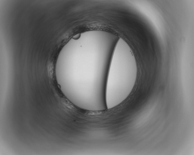 X0000113370767200909151027