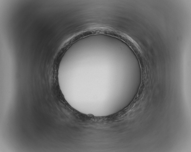 X0000113370775200909151026