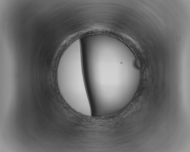 X0000113370776200909151026