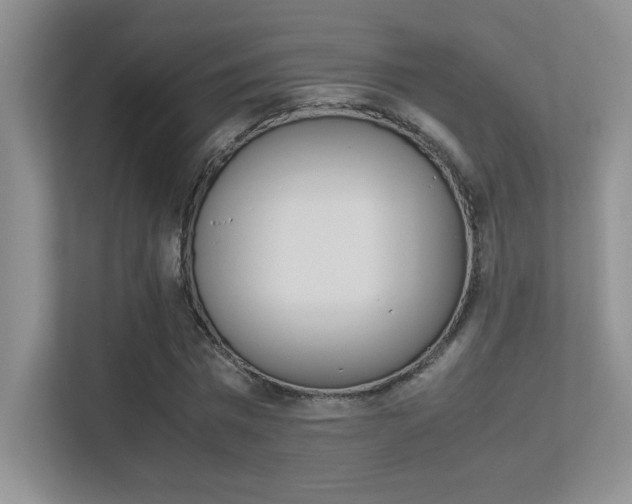 X0000113370777200909151026